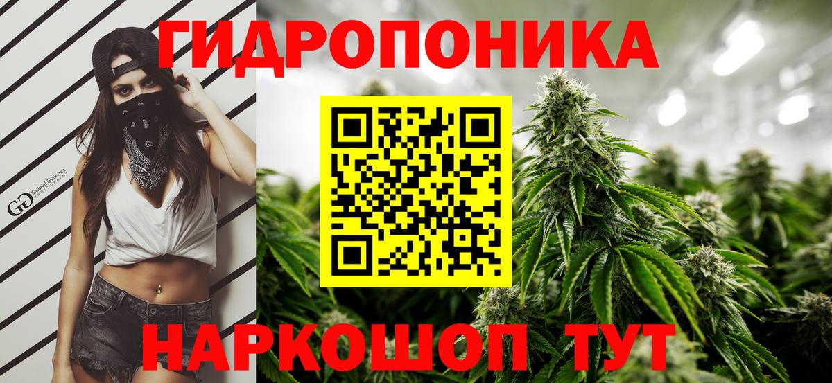 Канабис план  МАРИХУАНА марихуана  Тара  Канабис VHQ  Вход с VPN 
